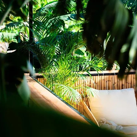 Glamping Maracuja - Oasis Paradise * Ribeira Brava