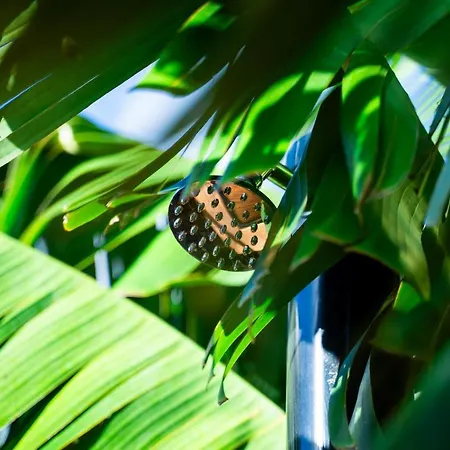 Glamping Maracuja - Oasis Paradise